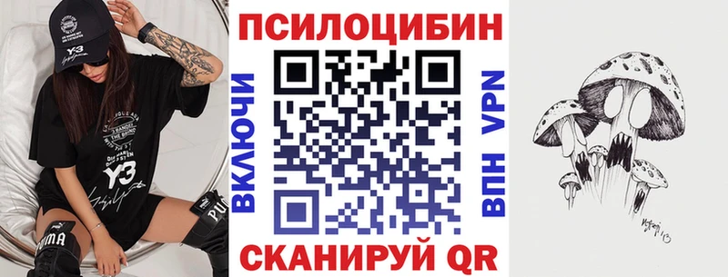 Галлюциногенные грибы GOLDEN TEACHER  это Telegram  Новодвинск 